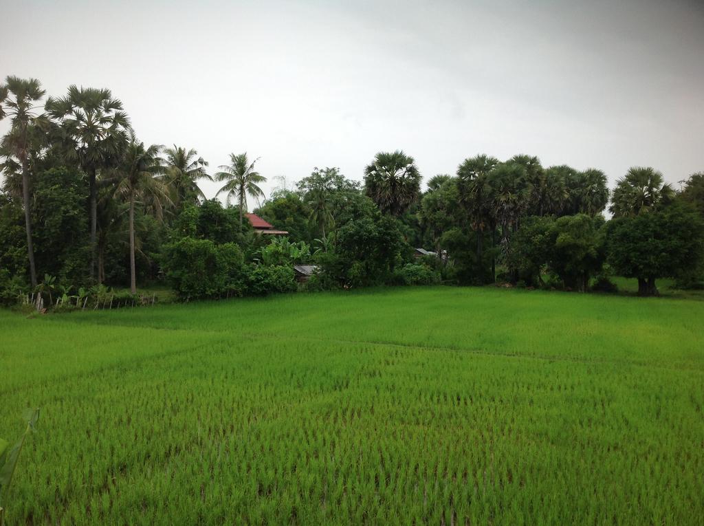 Angkor Rural Boutique Resort Сиемрип Экстерьер фото