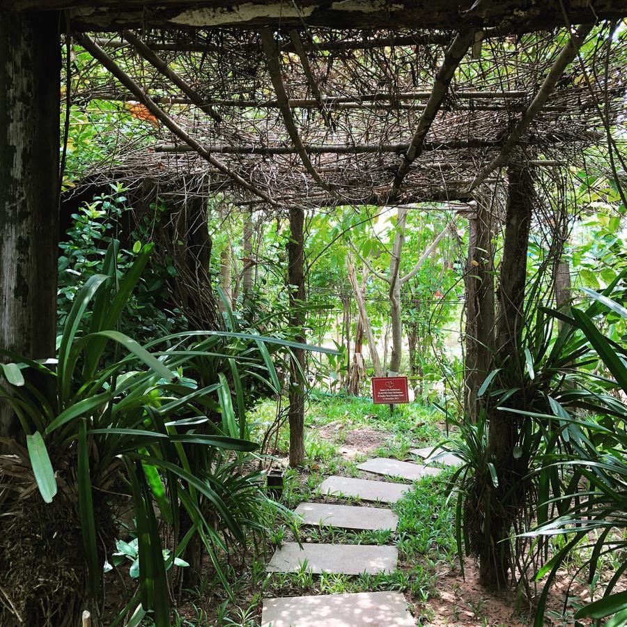 Angkor Rural Boutique Resort Сиемрип Экстерьер фото