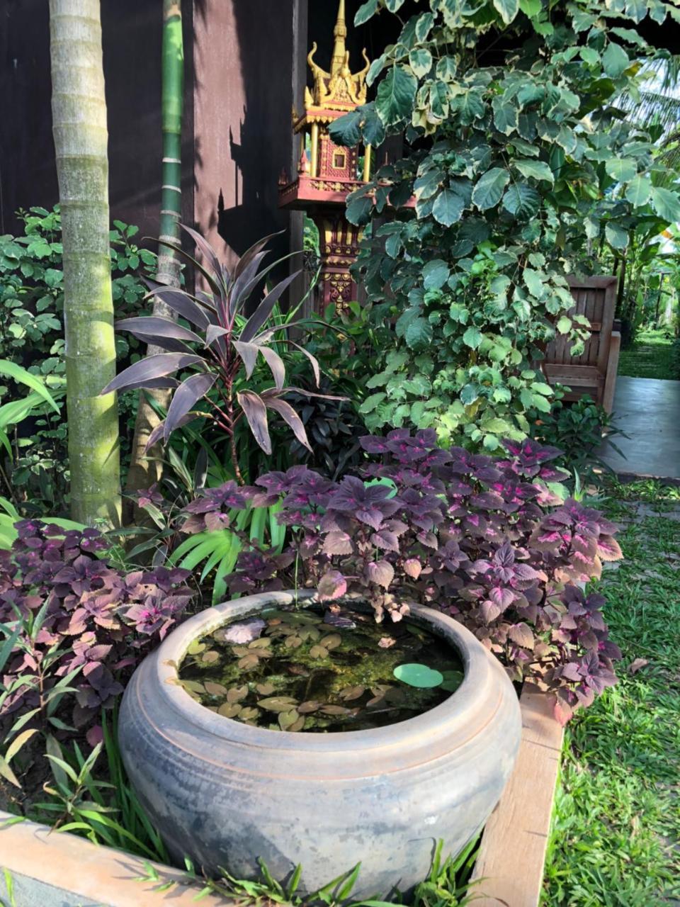 Angkor Rural Boutique Resort Сиемрип Экстерьер фото